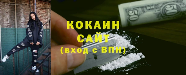 Альфа ПВП Аркадак
