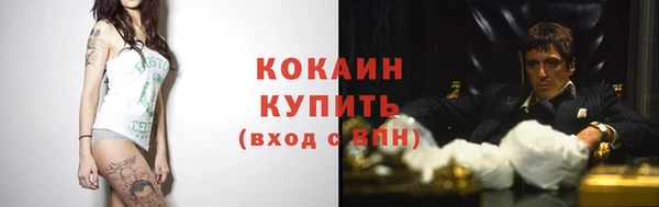молекула духа Арсеньев