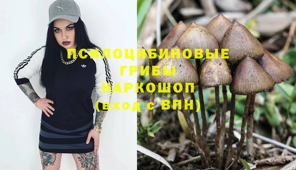 молекула духа Арсеньев