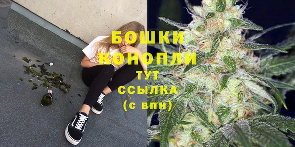 Альфа ПВП Аркадак