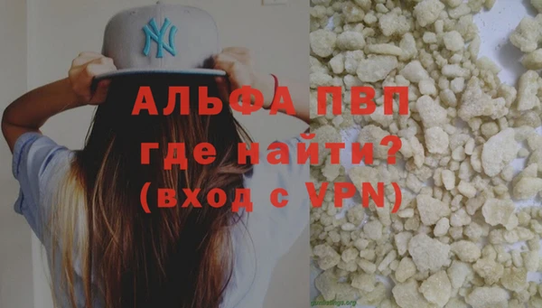 молекула духа Арсеньев